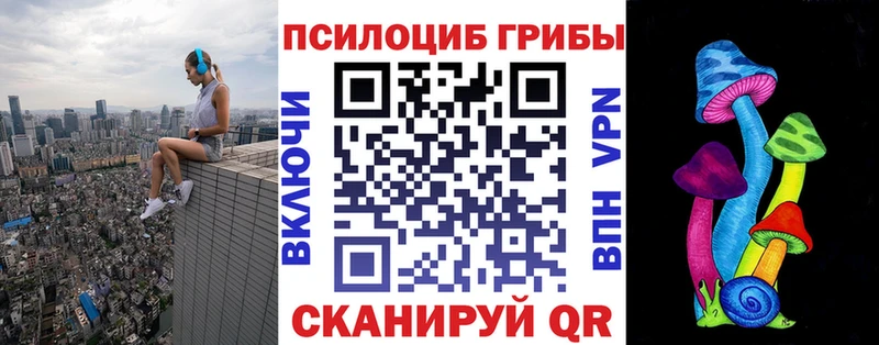 Купить  Аргун  Псилоцибиновые грибы Magic Shrooms 